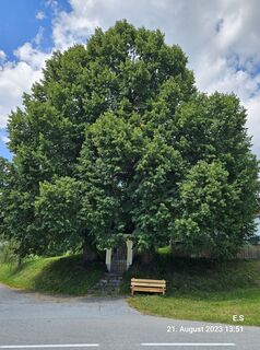 Fotografia z Schabsi na trase