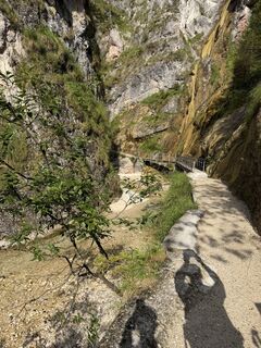 Foto von Nicole Burgstaller entlang der Tour