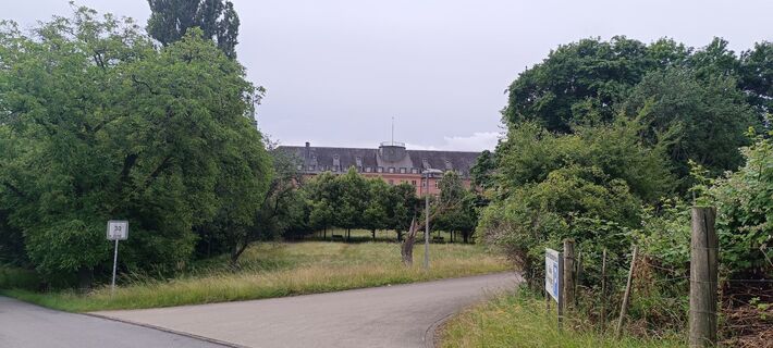 Foto von Megapaulevans entlang der Tour