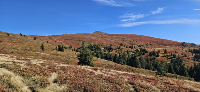 Fotografia z Lpetra na trase