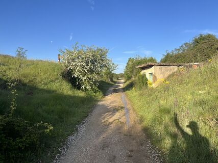 Zdjęcie z Andor Kulik wzdłuż trasy