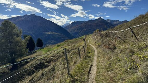 Fotografie de la peter_oe de-a lungul turului