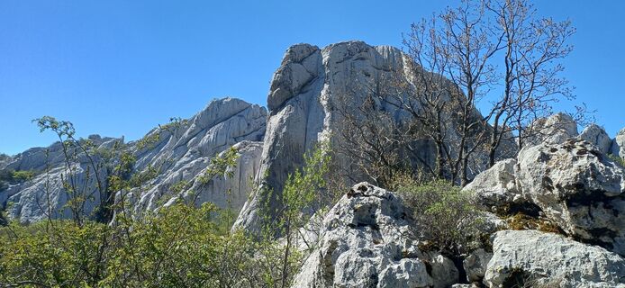Foto de Janez Perko a lo largo del recorrido