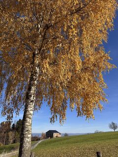 Fotó a Cyrill Bischof honlapról a túra során