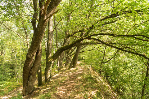 Entlang der Leichlinger Sandberge