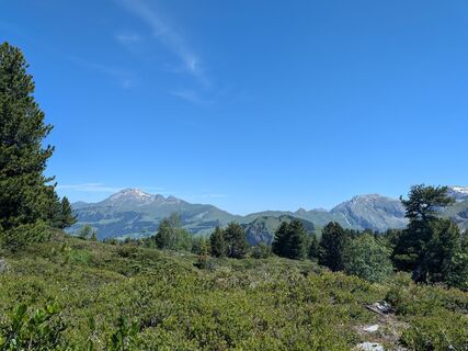 Fotografija s spletne strani mtmc na poti