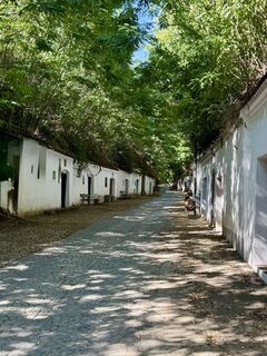 Fotografija s spletne strani Barbara Schober na poti