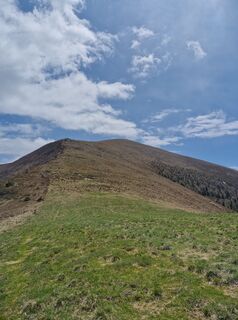 Photo de Michael Forstner le long du parcours