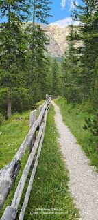 Photo de Sherpa 960 le long du parcours
