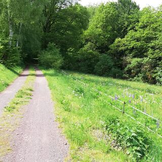 Truse Radweg Richtung Winne Hof