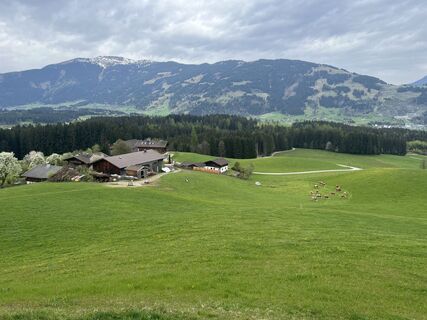 Fotografia z Stefan Rohringer na trase