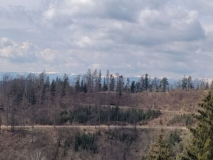 Foto von Lena Eder entlang der Tour