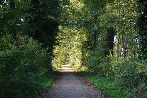 Wanderweg am Verler See