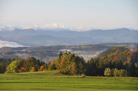 Panorama bei Wilfingen