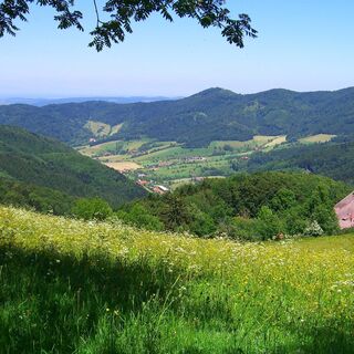 Blick von der Lindlehöhe in das Oberglottertal