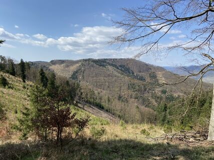 Fotografie z Attila Mihalcz na trase