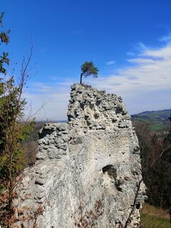 Foto von Christina Turnwald entlang der Tour