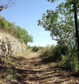 Rando du Puech Belet0001 ©CDRP34