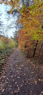 Photo de Buchegger Barbara le long du parcours