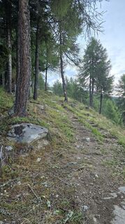 Photo de Guggi le long du parcours