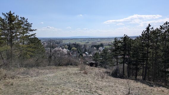 Foto de Edero a lo largo del recorrido
