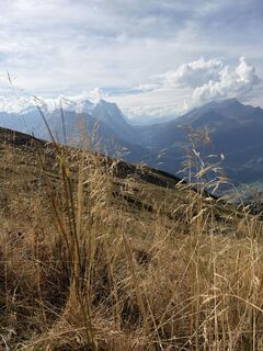 Foto von Maya Stalder entlang der Tour