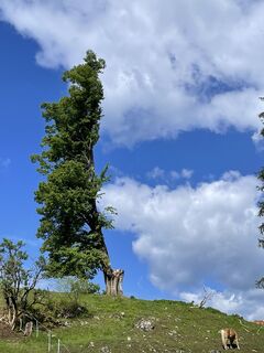 Photo de Andrea Bleier le long du parcours