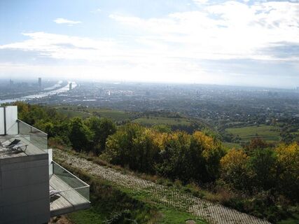 Kahlenberg - Klosterneuburg - Greifenstein
