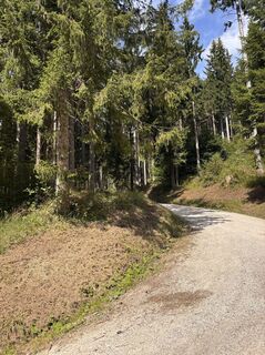 Foto von Heinz Sperl entlang der Tour
