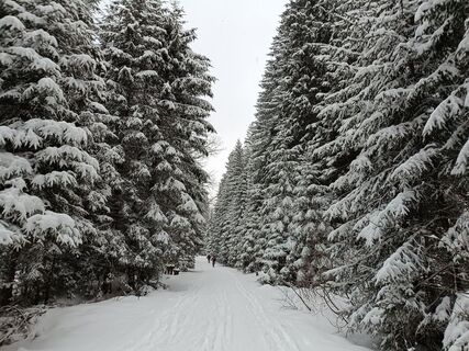 Foto von Žaneta Schelling entlang der Tour
