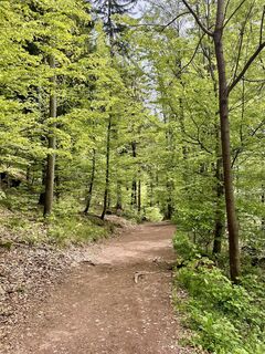 Fotografija s spletne strani scikavc prvi na poti