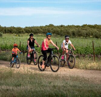 auf dem Mountainbike