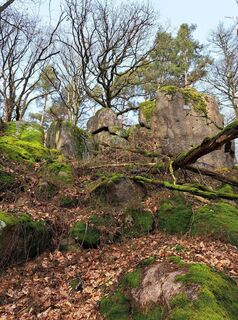 Photo de Schwartzhox le long du parcours