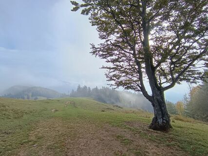 Photo de Edith K. le long du parcours