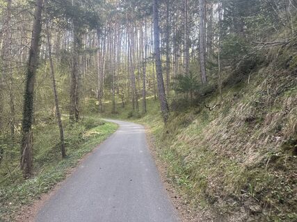 Foto da Matthias Opbacher lungo il tour
