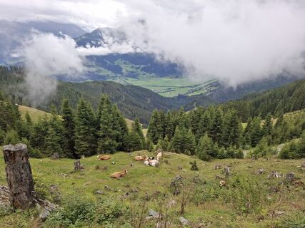 Photo de Karl Thies le long du parcours