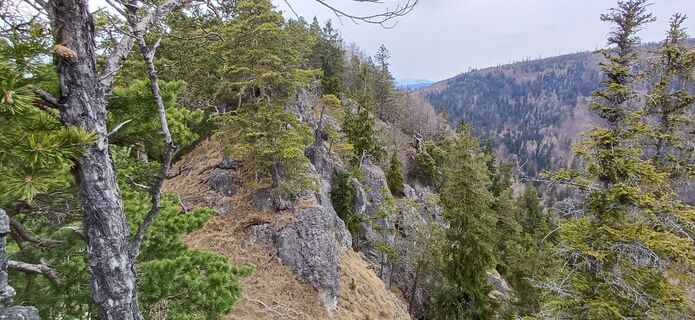 Fotografia z Bergfex Cros na trase
