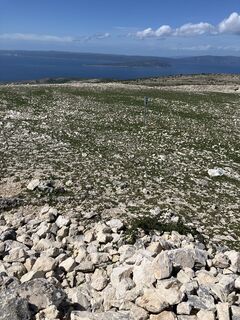 Photo de Daniel Vogel le long du parcours