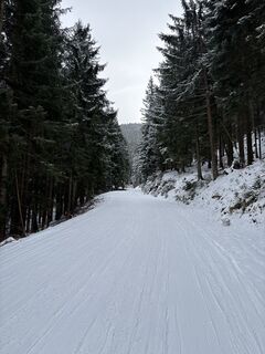 Sankt Koloman_Trattberg