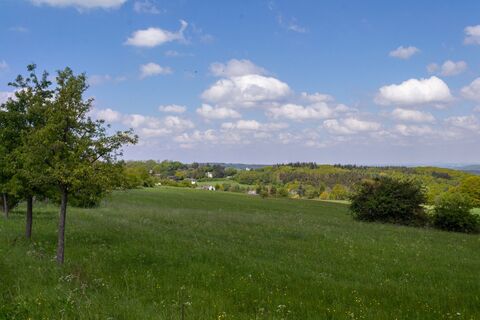 Eifelspur-Kneippwanderweg - Blick auf den Bad Münstereifeler Wald