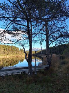 Fotografia z Dagmar Hofer na trase