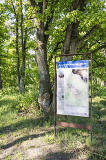 Archäologiepfad Stelle