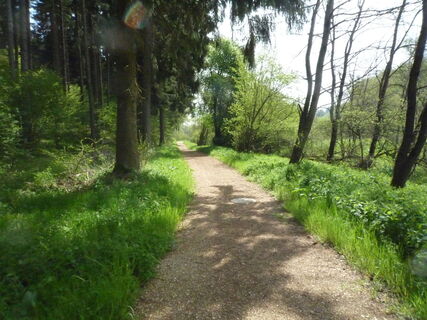 tieferbachweg-5-kallenberg