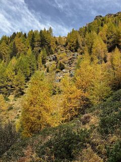 Zdjęcie z Marisa scafetta wzdłuż trasy