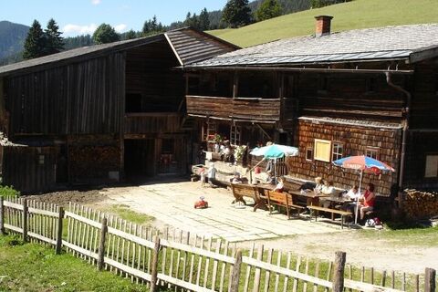 Halseralm