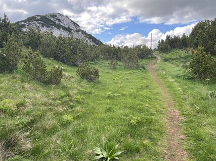 Fotografija s spletne strani rocko6805 na poti