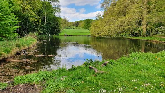 Zdjęcie z Gerrit van der Linde wzdłuż trasy