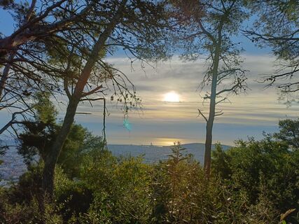 Fotografie z carlos fuentes 1 na trase