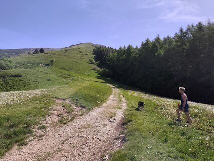 Foto von martin.lueth entlang der Tour
