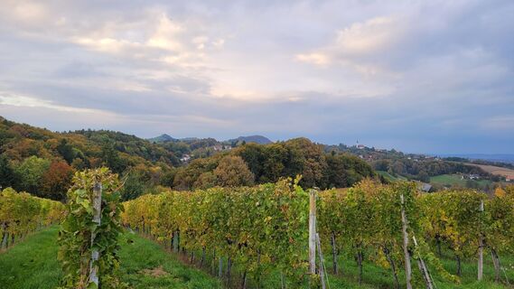 Fotografia z Juliane Jarke na trase